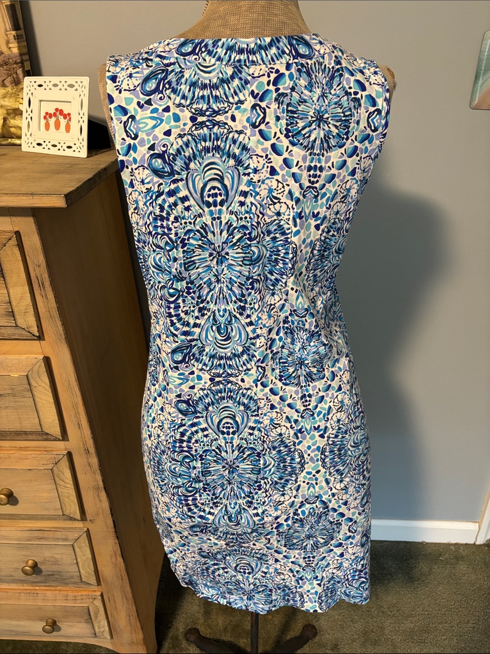 Lilly Pulitzer Blue and White V-Neck Sleeveless Mini Cotton Dress - Picture 4 of 7